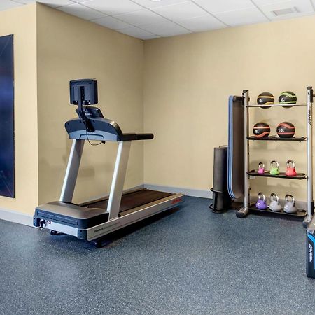 Hilton Garden Inn Sarasota-Bradenton Airport Dış mekan fotoğraf