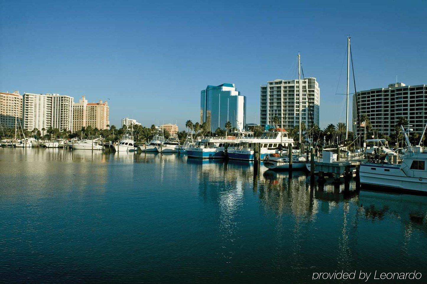 Hilton Garden Inn Sarasota-Bradenton Airport Dış mekan fotoğraf