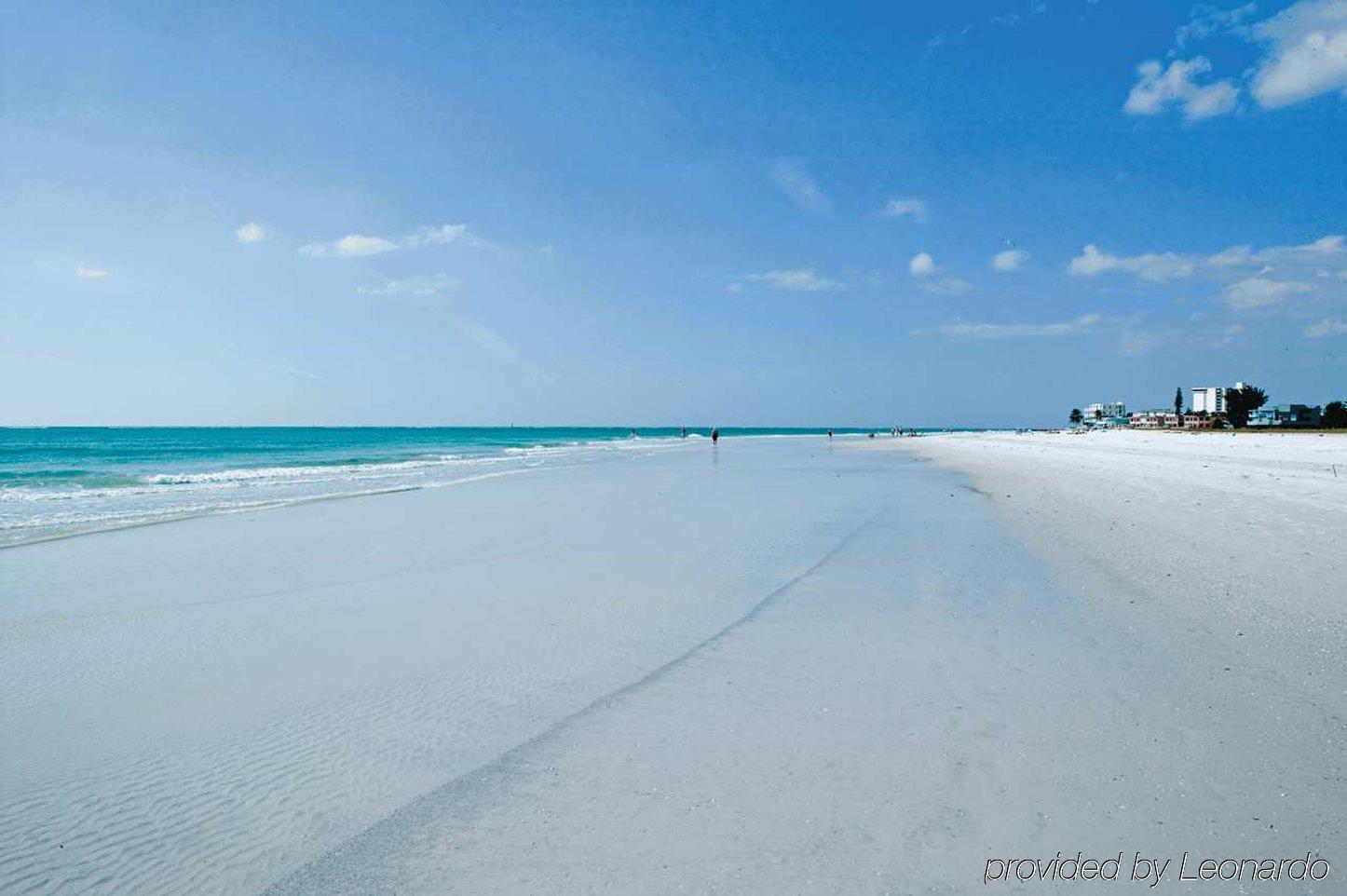 Hilton Garden Inn Sarasota-Bradenton Airport Dış mekan fotoğraf