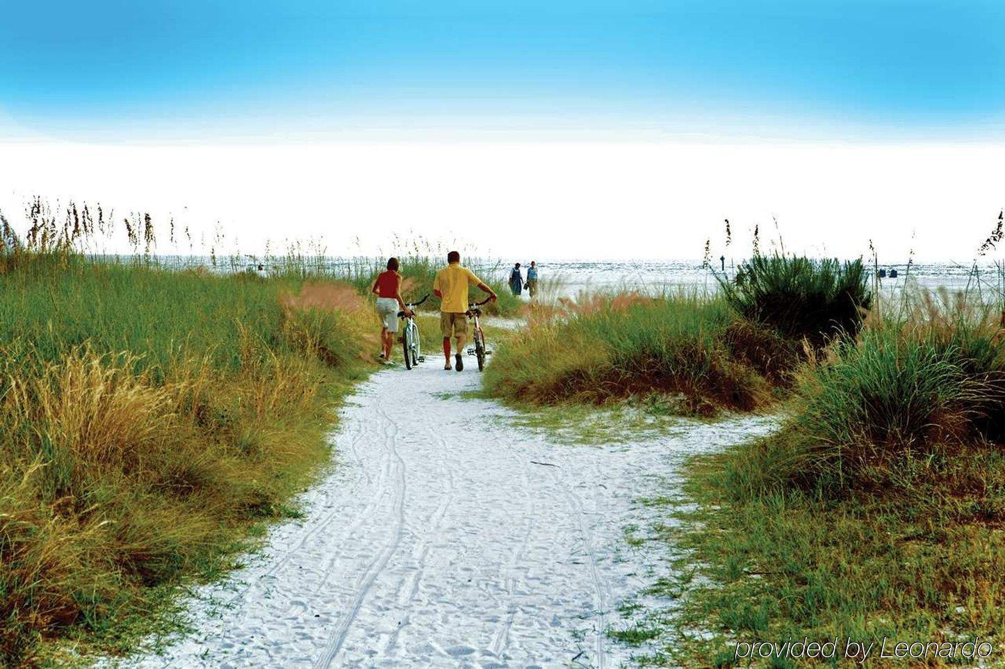 Hilton Garden Inn Sarasota-Bradenton Airport Dış mekan fotoğraf